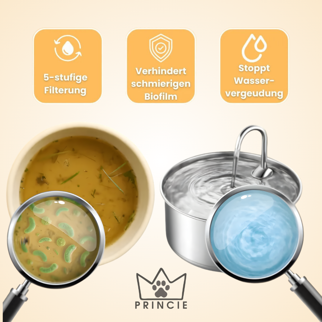 AquaBuddy – Der hygienische Trinkbrunnen für Hunde & Katzen