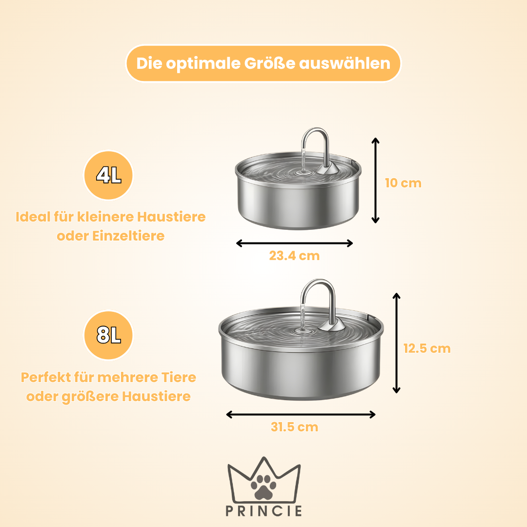 AquaBuddy – Der hygienische Trinkbrunnen für Hunde & Katzen