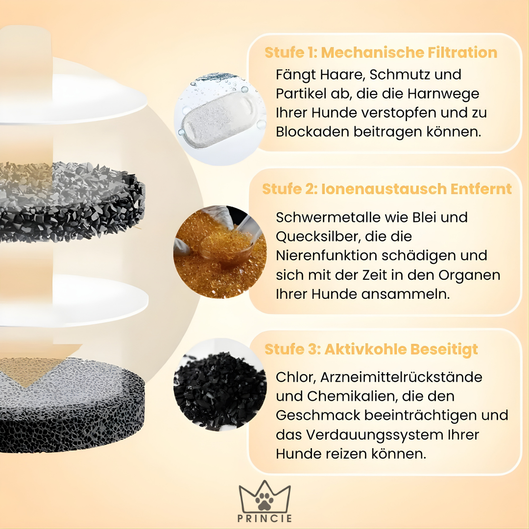 AquaBuddy – Der hygienische Trinkbrunnen für Hunde & Katzen