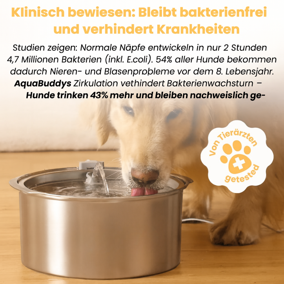 AquaBuddy – Der hygienische Trinkbrunnen für Hunde & Katzen