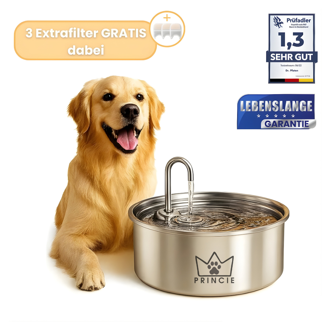 AquaBuddy – Der hygienische Trinkbrunnen für Hunde & Katzen