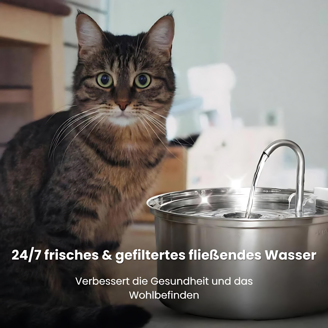 AquaBuddy – Der hygienische Trinkbrunnen für Katzen