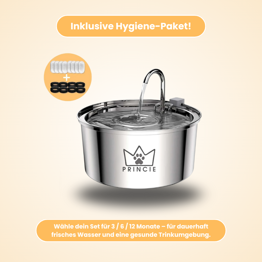 AquaBuddy – Der hygienische Trinkbrunnen für Hunde & Katzen