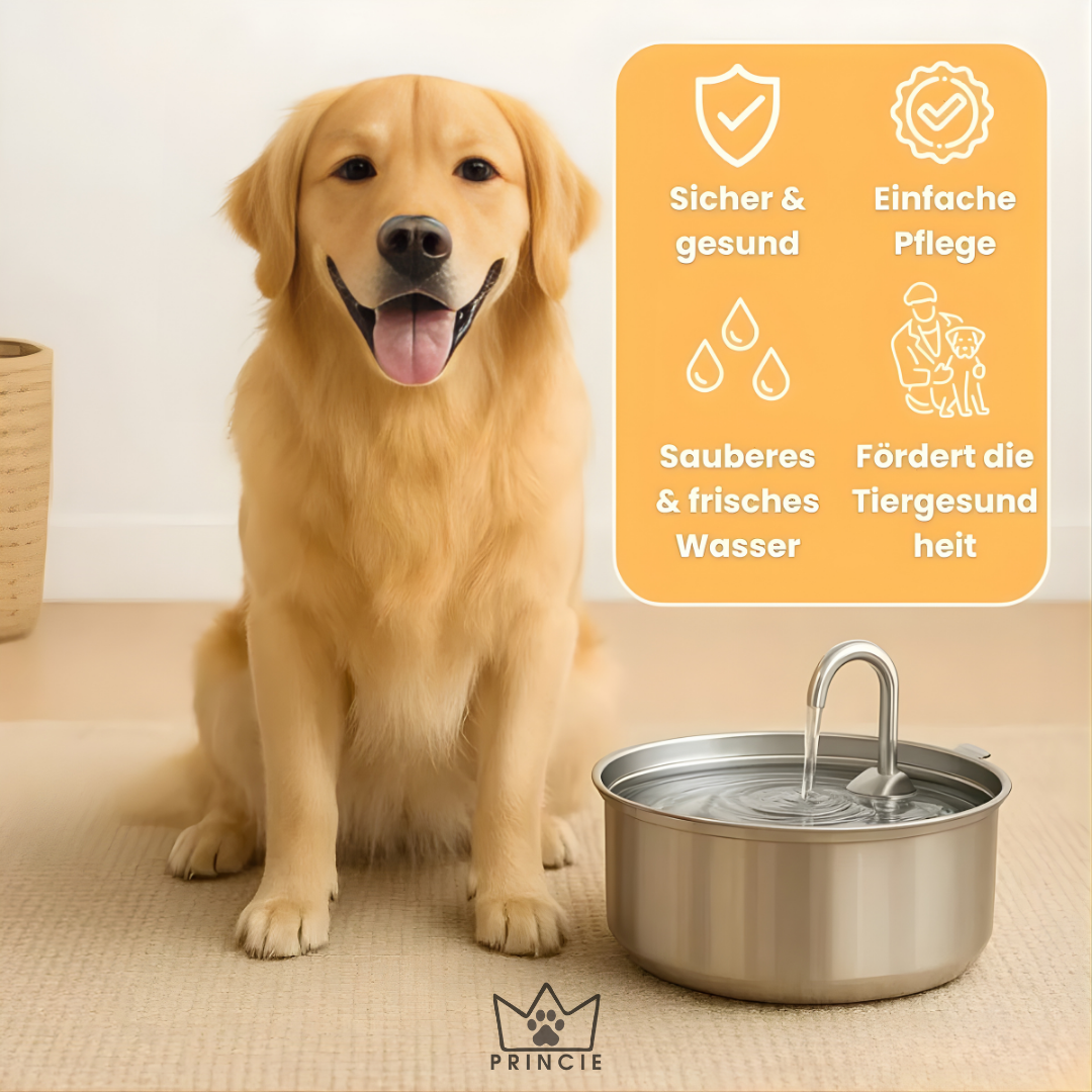 AquaBuddy – Der hygienische Trinkbrunnen für Hunde & Katzen