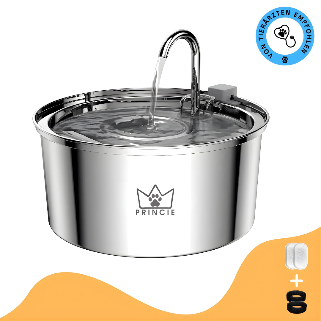 AquaBuddy – Der hygienische Trinkbrunnen für Hunde & Katzen