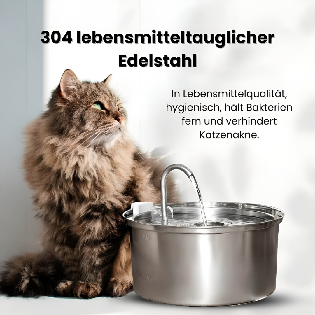 AquaBuddy – Der hygienische Trinkbrunnen für Katzen