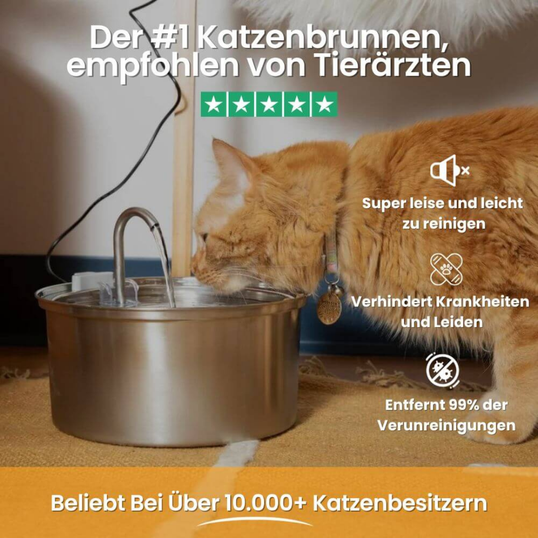 AquaBuddy – Der hygienische Trinkbrunnen für Katzen