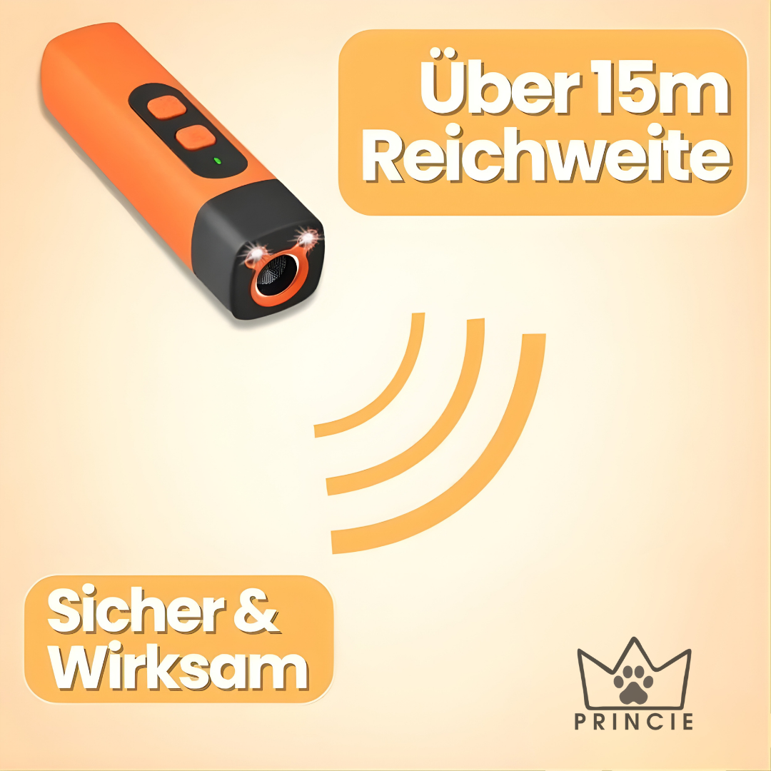 BellStop – Sanftes Ultraschall-Training für ein ruhiges Zuhause