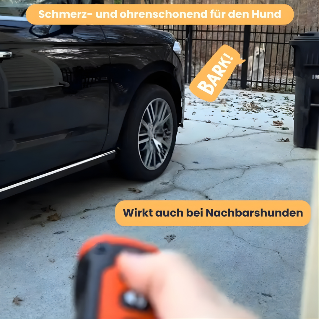 BellStop – Sanftes Ultraschall-Training für ein ruhiges Zuhause